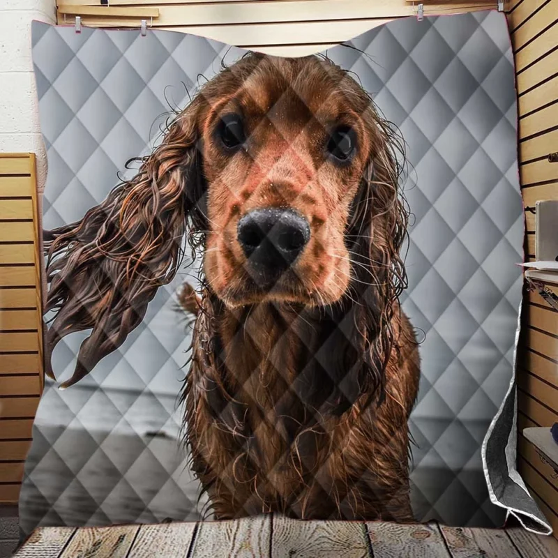 Sandy Beach Muzzle: Cocker Spaniel Quartet Quilt Blanket