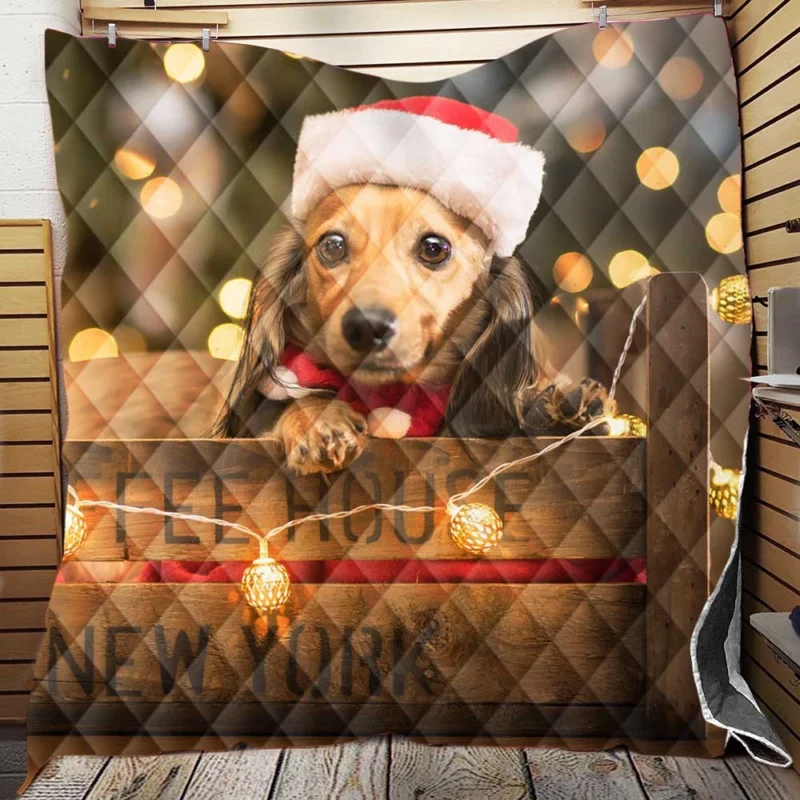 Santa Hat Dachshund Pup in a Box: Dachshund Quartet Quilt Blanket