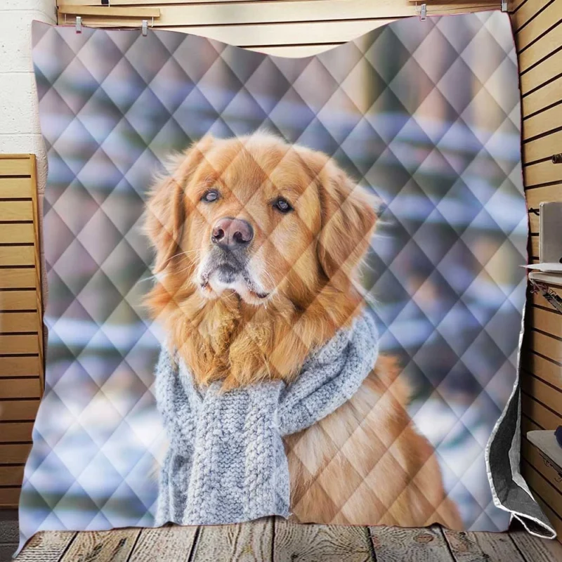 Scarf Beauty: Golden Retrievers in Winter Quilt Blanket