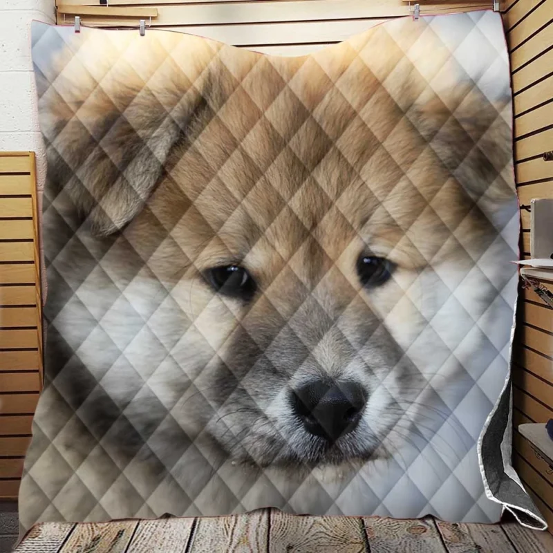 Siberian Husky: Pure Cuteness Quilt Blanket