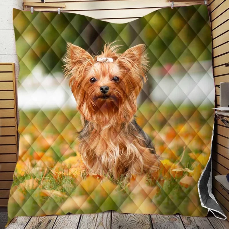 Simply Charming: Cute Yorkshire Terrier Quartet Quilt Blanket