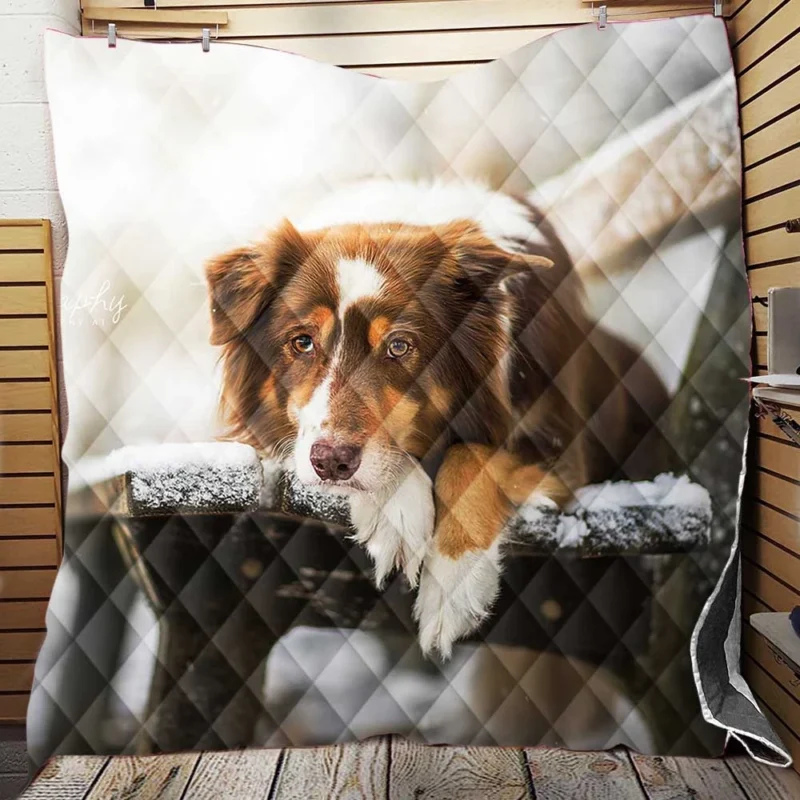 Snowy Bench Beauty with Border Collie on Winter Bench Quilt Blanket