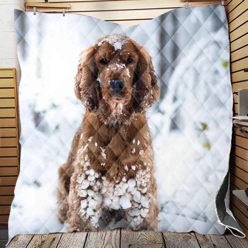 Snowy Playtime with Cocker Spaniels Quilt Blanket