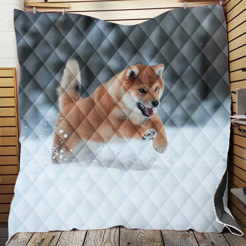 Snowy Wonderland with the Akita Quartet Quilt Blanket