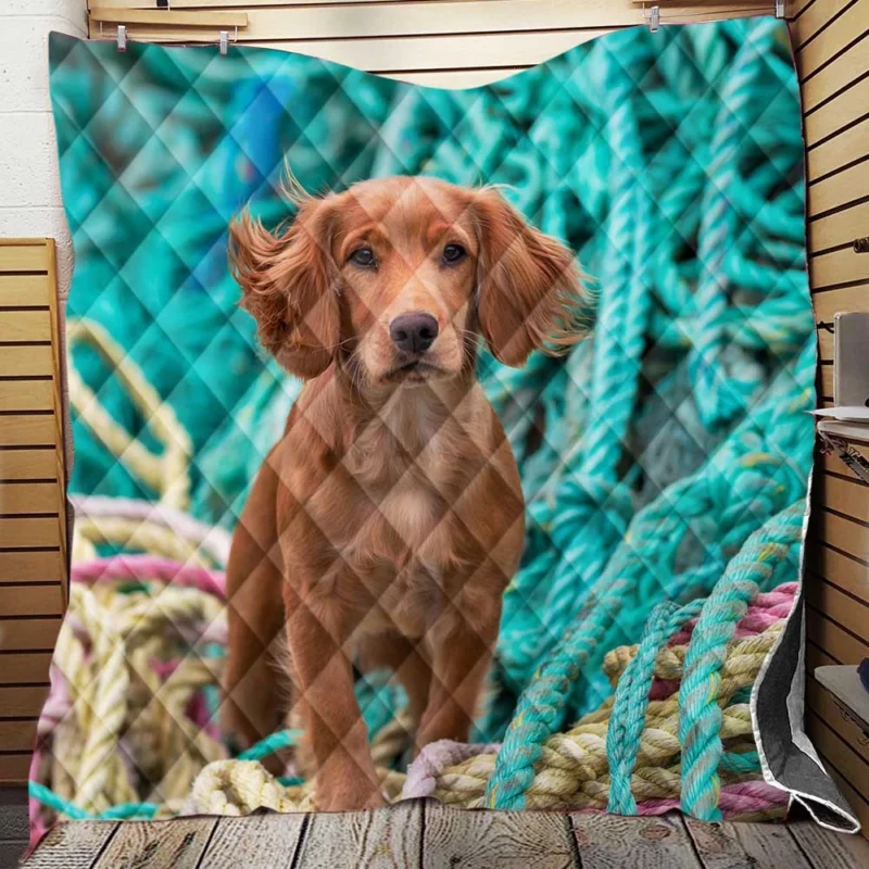 Spaniel Quartet with Rope Elements Quilt Blanket