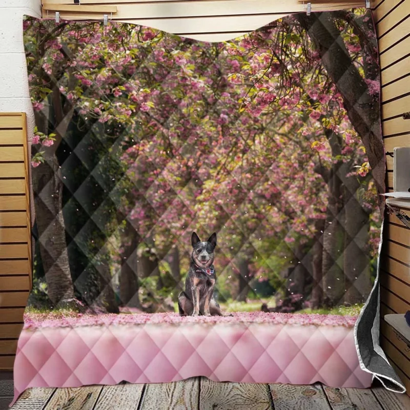 Spring Blossoms in Depth of Field: Australian Cattle Dog Quilt Blanket