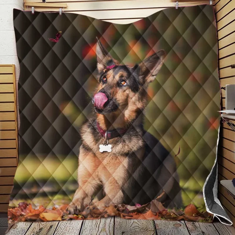 Stunning Dogs: Quadruple German Shepherd Delight Quilt Blanket