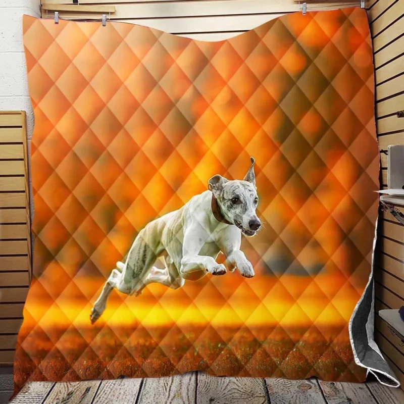 Stunning Quartet: Greyhounds in Orange Depth Quilt Blanket