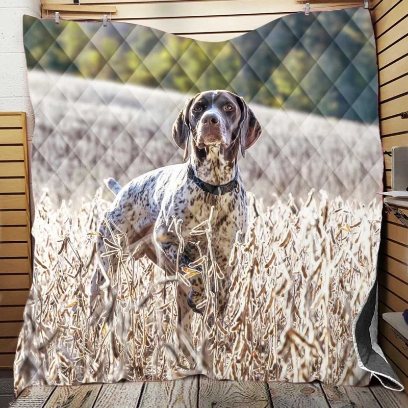 Summer Depth of Field: Shorthaired Pointers Quilt Blanket