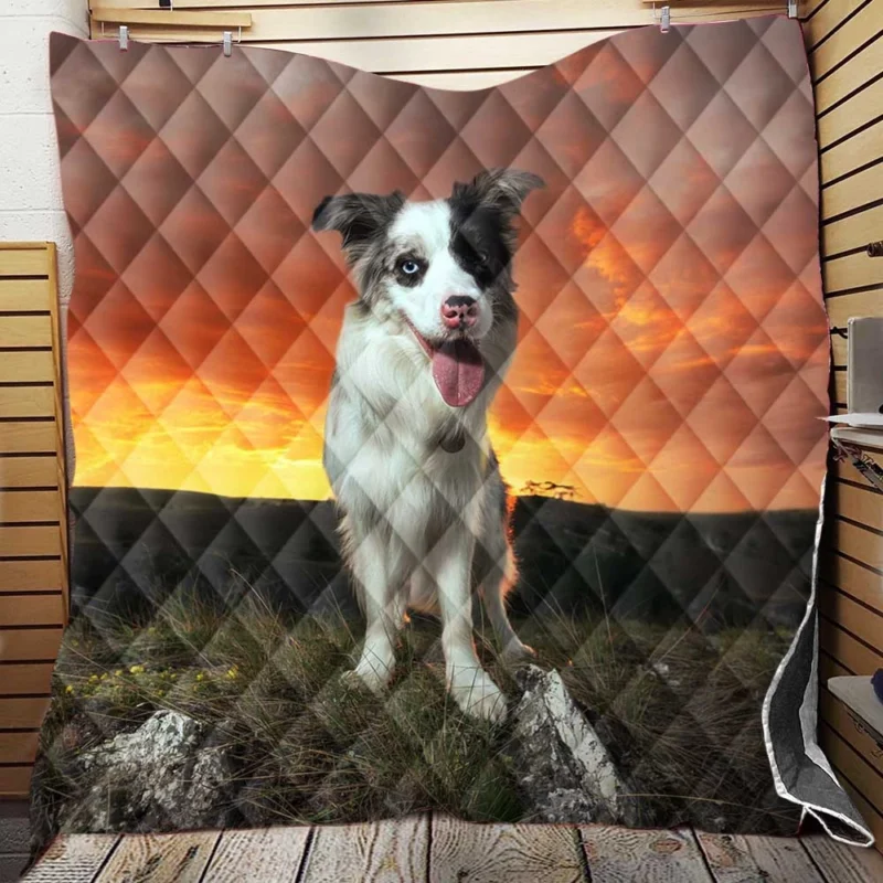 Sunset Landscape with Collie Clouds: Border Collie Quilt Blanket