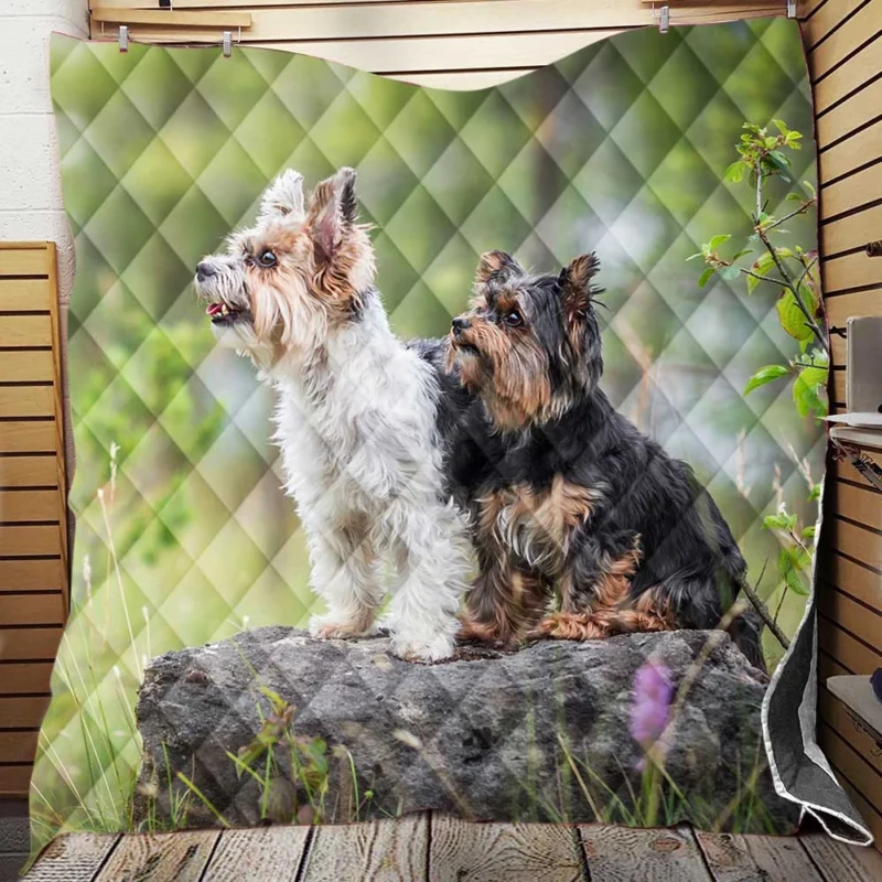 Sweet and Tiny: Yorkshire Terrier Quartet Quilt Blanket