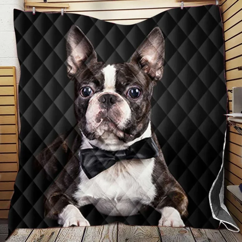 The Active and Friendly Boston Terrier: Boston Terrier Quilt Blanket