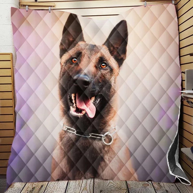 The Alert and Loyal Belgian Malinois: Belgian Malinois Quilt Blanket