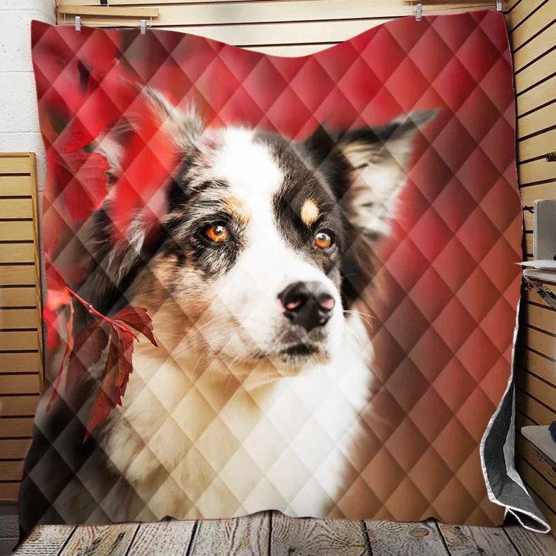 The Energetic and Playful Border Collie: Border Collie Quilt Blanket