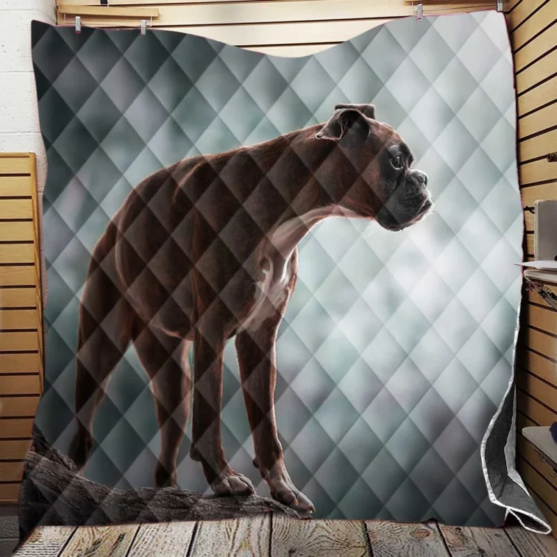 The Expressive Boxer (Dog): Boxer Quilt Blanket