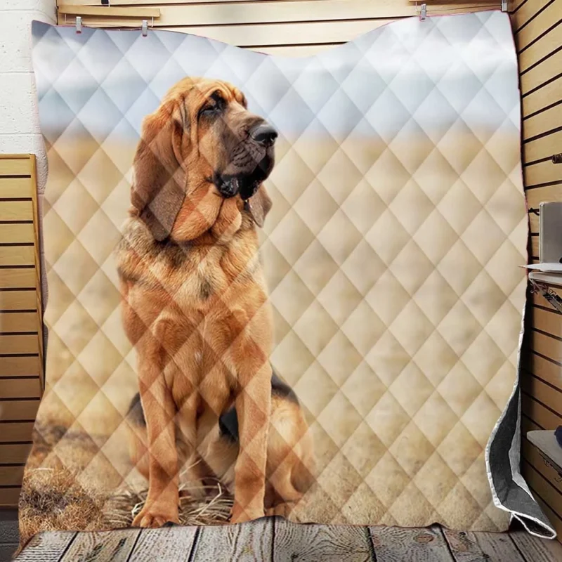 The Noble and Elegant Bloodhound: Bloodhound Quilt Blanket