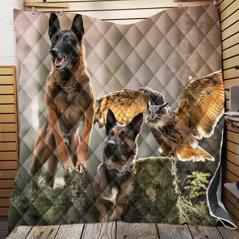 The Owl and Bird Watchers: Belgian Malinois Quilt Blanket