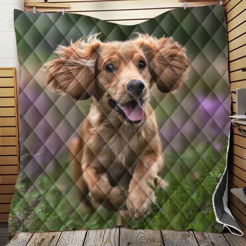 Timeless Elegance: Splendid Spaniel Quartet Quilt Blanket