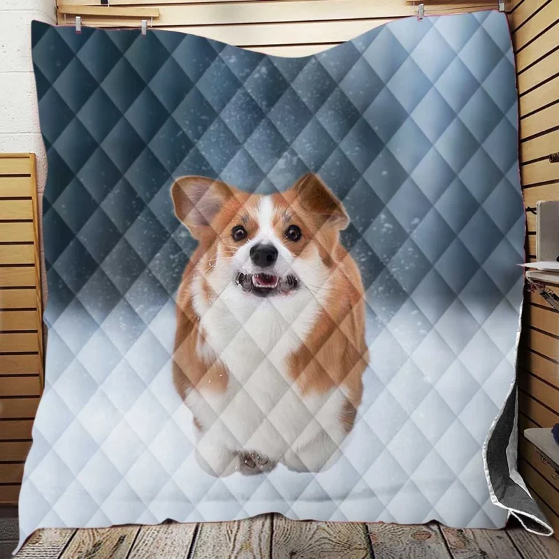 Winter Wonder: Corgi in Snow with Depth of Field Quilt Blanket