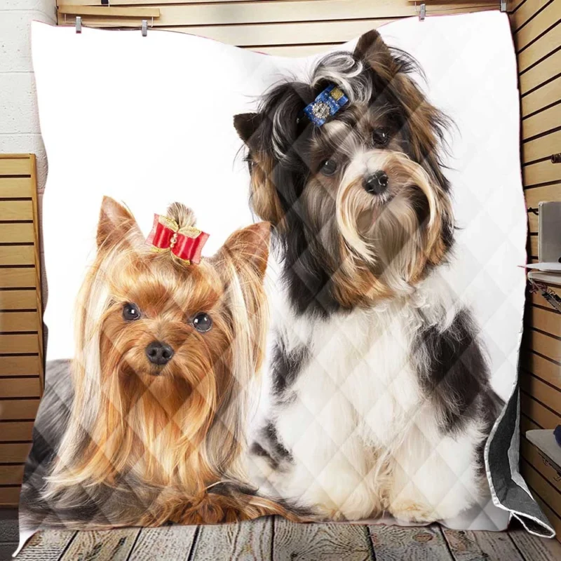 Yorkshire Terrier Loveliness: Cute Yorkies Quilt Blanket