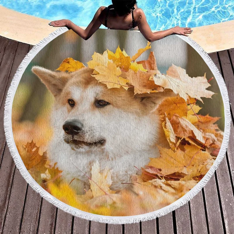 Autumn Leaves and Beauty: The Akita Quartet Round Beach Towel 1