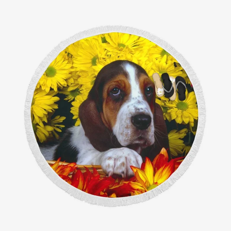 Basket of Flowers and Basset Beauty: Basset Hound Round Beach Towel