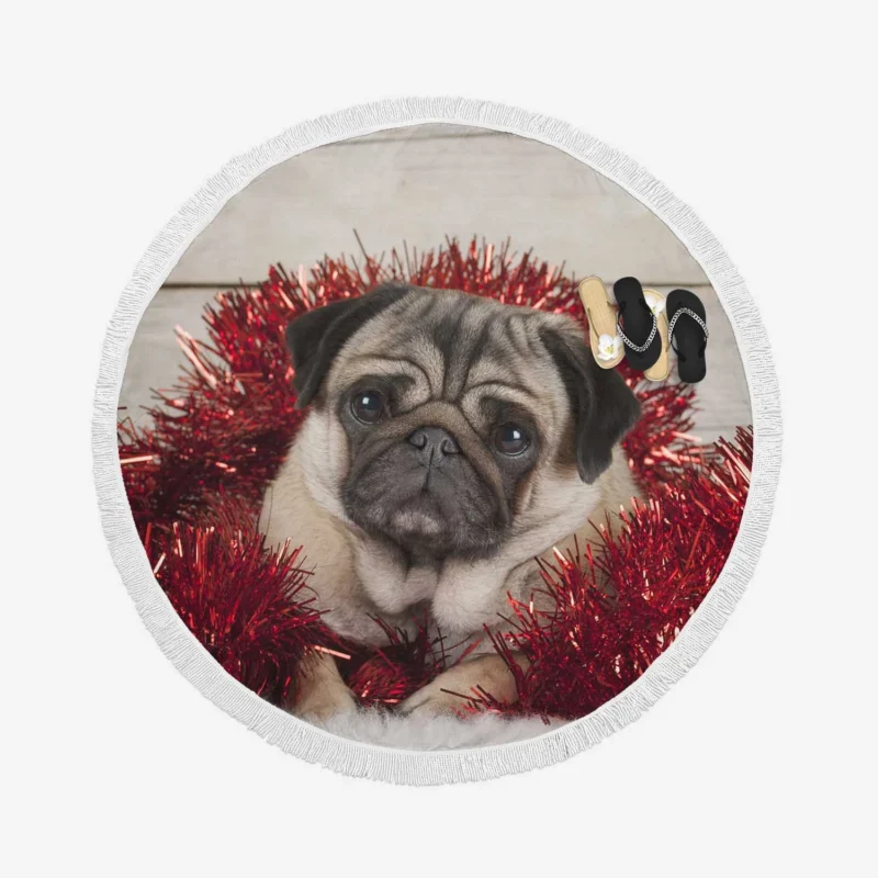 Bauble Puppies: Pug Christmas Quartet Round Beach Towel