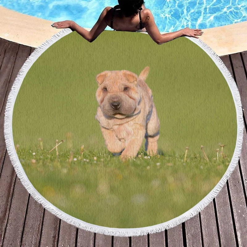 Bauble Puppy Amidst Shar Pei Greenery: Quartet Round Beach Towel 1