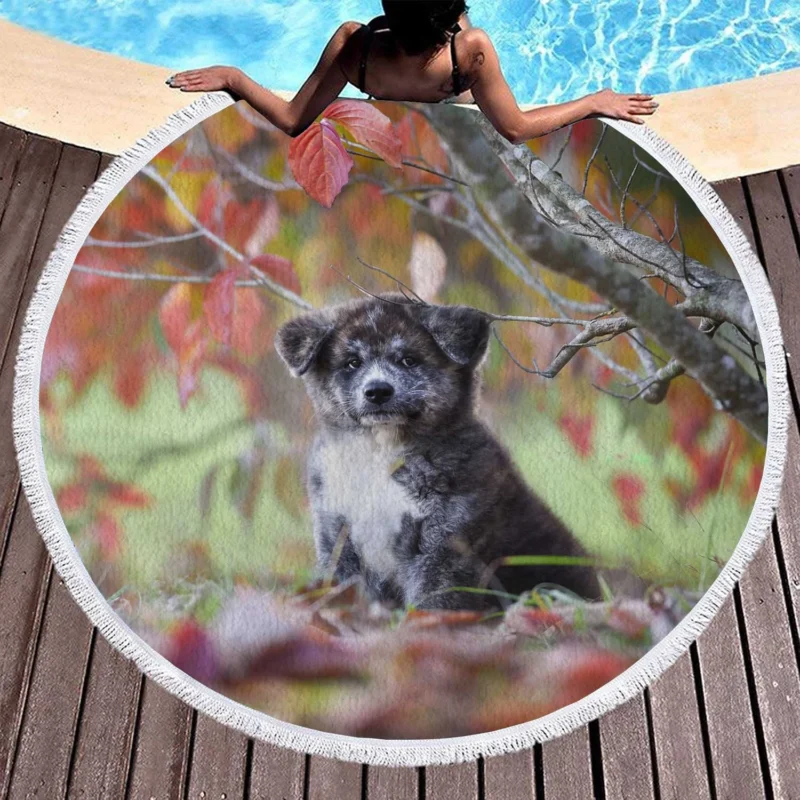 Bauble of Joyful Puppies: The Akita Quartet Round Beach Towel 1