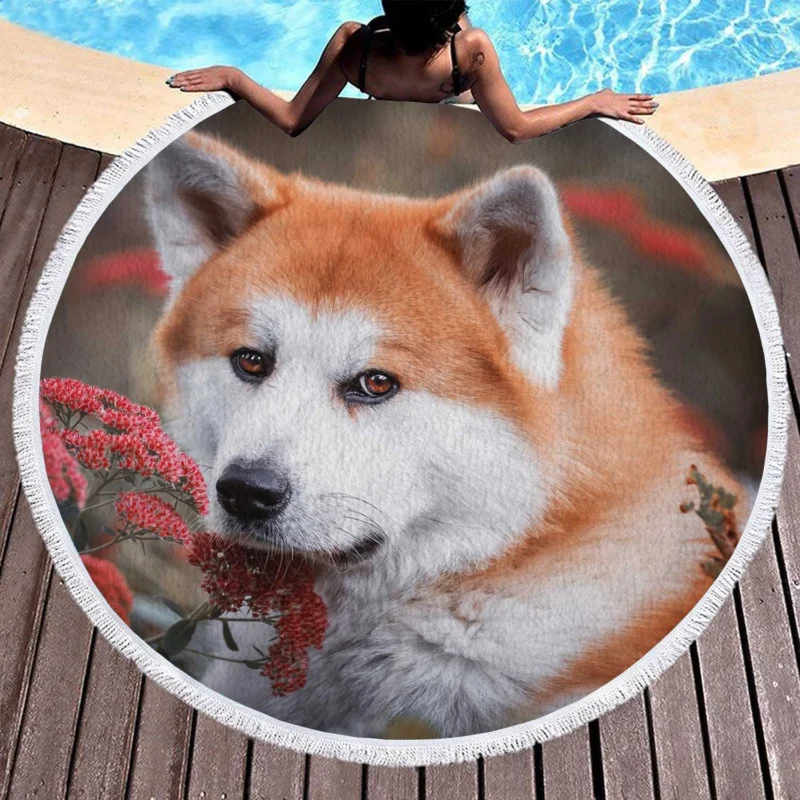 Blossoms and Beauty: The Akita Quartet Round Beach Towel 1