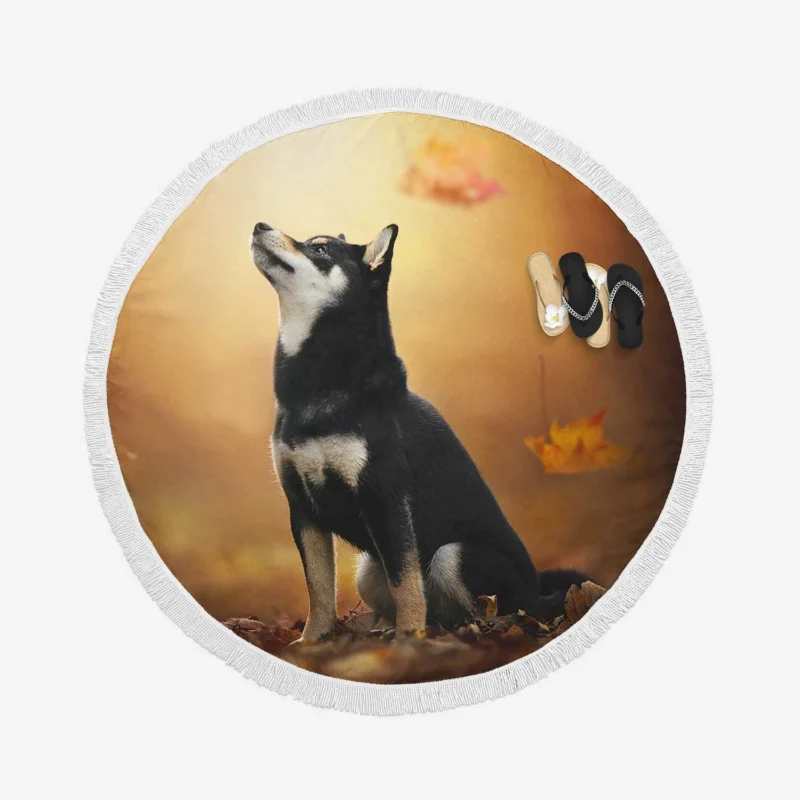 Canine Playtime Quartet: Husky Leaf Blur Round Beach Towel 1