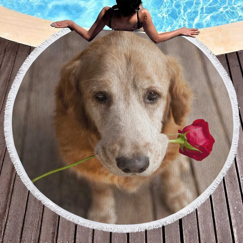 Canine and Roses: Golden Retriever Love Round Beach Towel 1