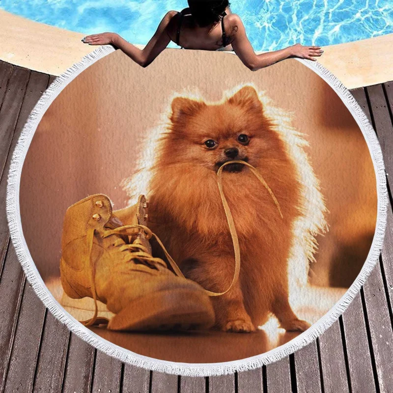 Chic Shoe Accessories: Spitz Quartet Round Beach Towel 1