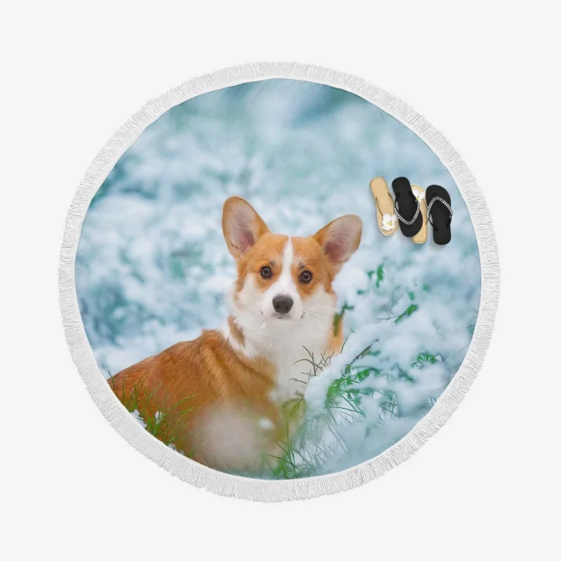 Corgi Frolicking in Playful Snow Quartet Round Beach Towel