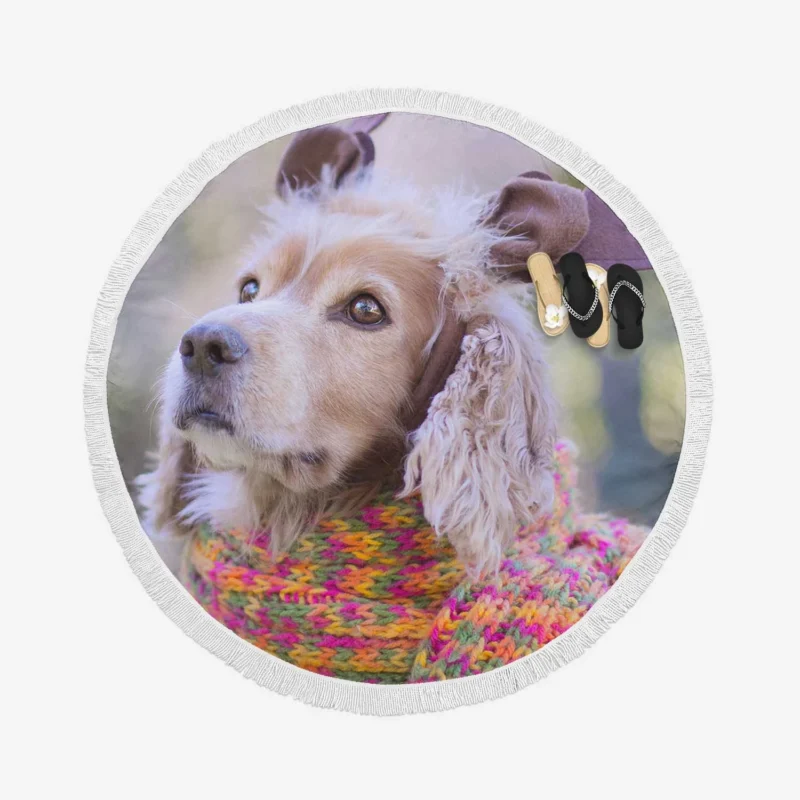 Cozy Scarves and Muzzles: Spaniel Quartet Round Beach Towel 1