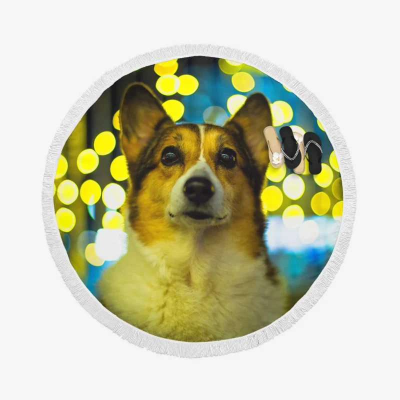 Cute Charm: Fourfold Corgi Quartet Round Beach Towel