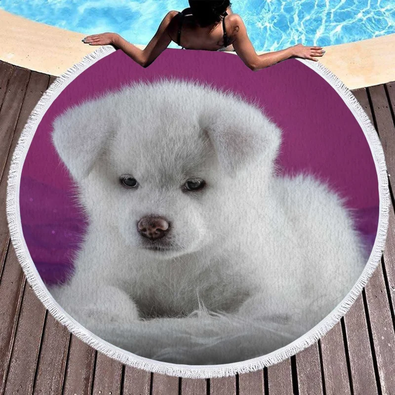 Cute and Captivating: Akita Puppy Quartet Round Beach Towel 1