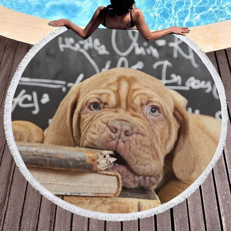 Dogue de Bordeaux Puppy with Muzzle and Book: Quartet Round Beach Towel 1