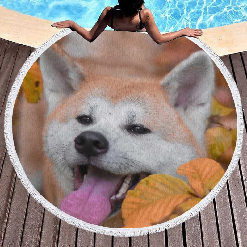 Embracing Fall Colors: The Akita Quartet Round Beach Towel 1