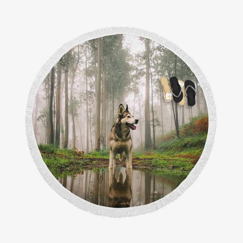 Ethereal Canine: Husky Reflection in Forest Fog Round Beach Towel