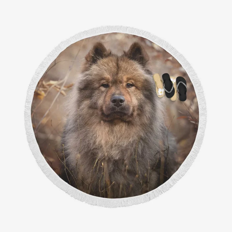 Eurasier Tranquility: Nature Backdrop Round Beach Towel