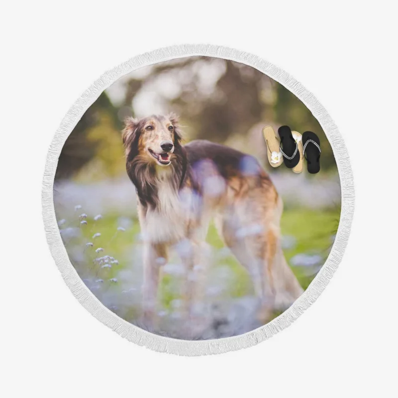 Exploring Depth Of Field with the Borzoi: Borzoi Round Beach Towel