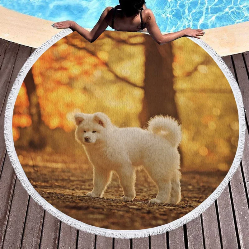 Fall Light and Bokeh: Akita Quartet Wallpaper Round Beach Towel 1