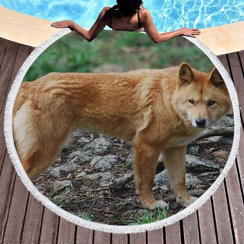 Fourfold Dingo Beauty: Dingo Quartet Round Beach Towel 1