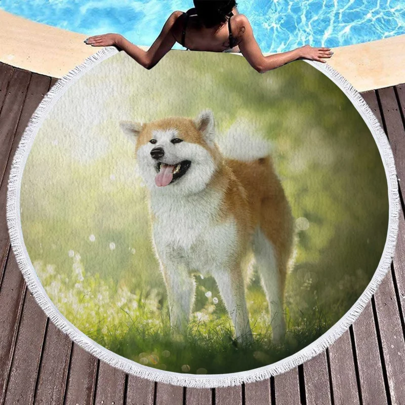 Fourfold Elegance: The Akita Quartet Round Beach Towel 1