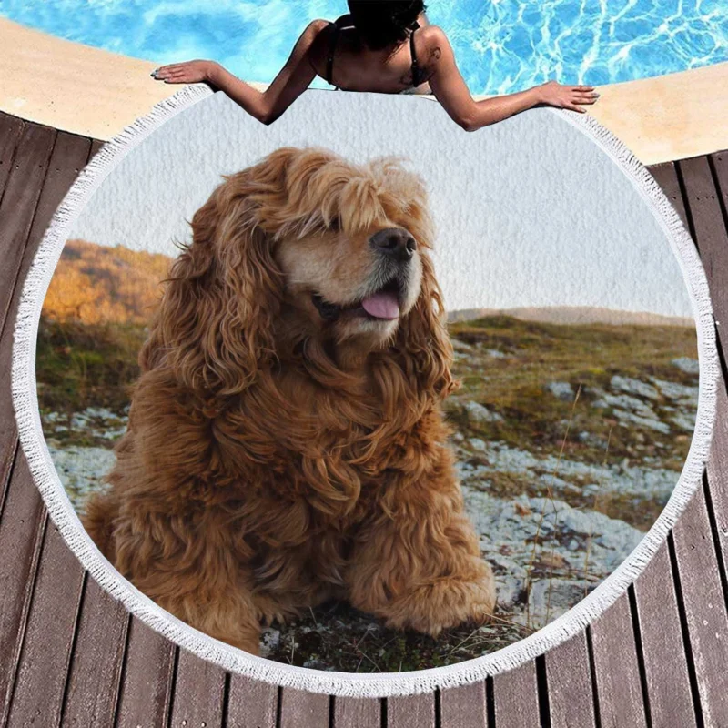 Fourfold Spaniel Beauty: Cocker Spaniel Quartet Round Beach Towel 1