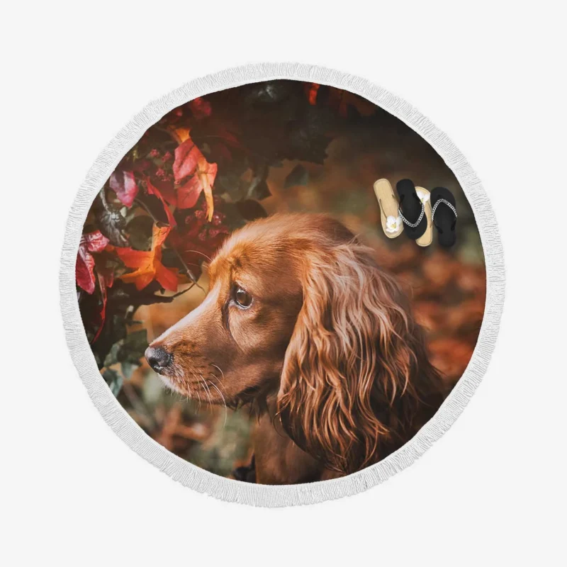 Fourfold Spaniel Grace with Cocker Spaniels Round Beach Towel