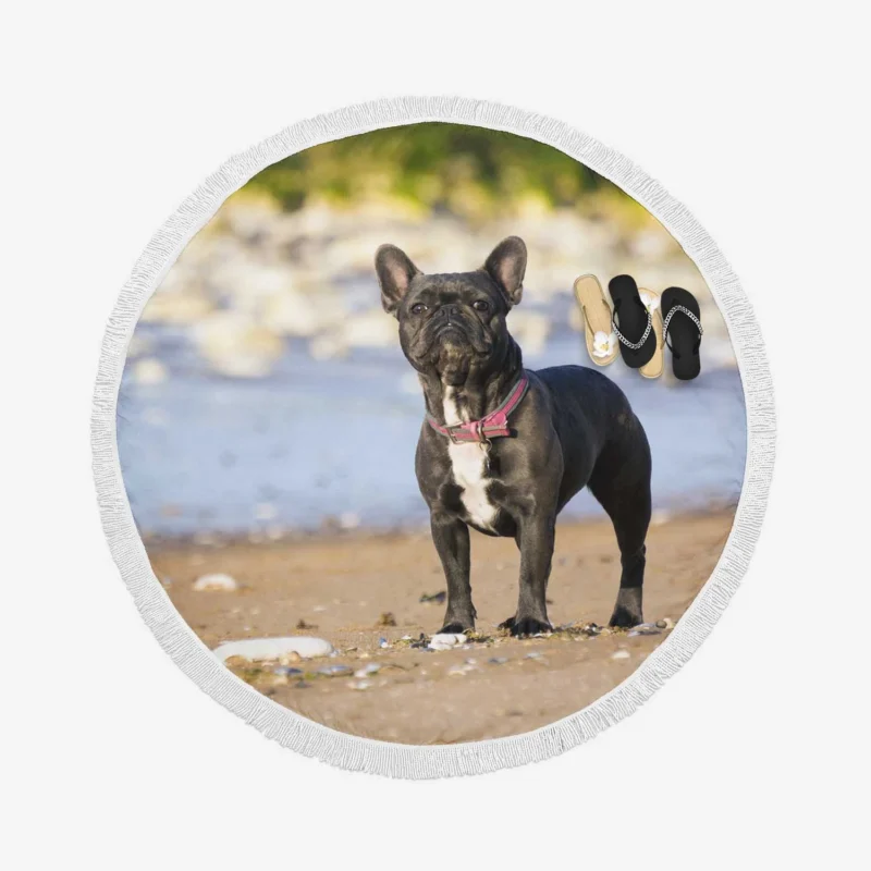 French Bulldog Bliss: Breathing Life into Stillness Round Beach Towel