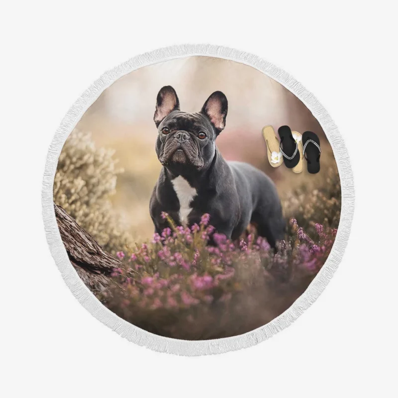 French Bulldog Enchantment: Forest Adventure Round Beach Towel 1