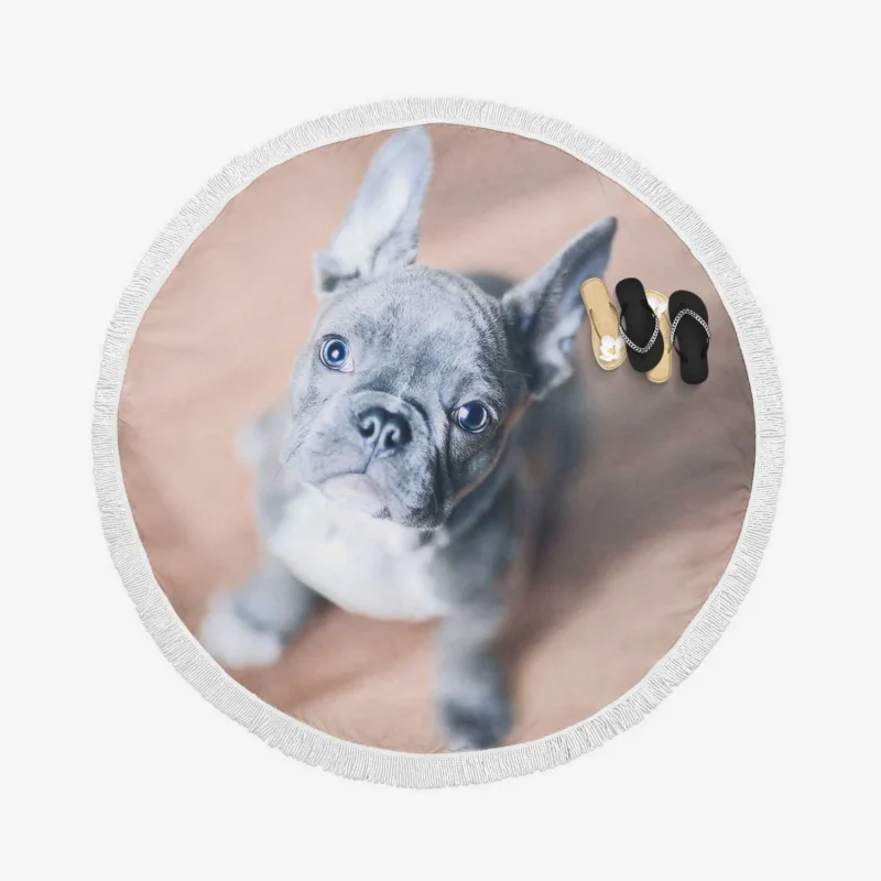 French Bulldog Grace: A Breed Beyond Compare Round Beach Towel
